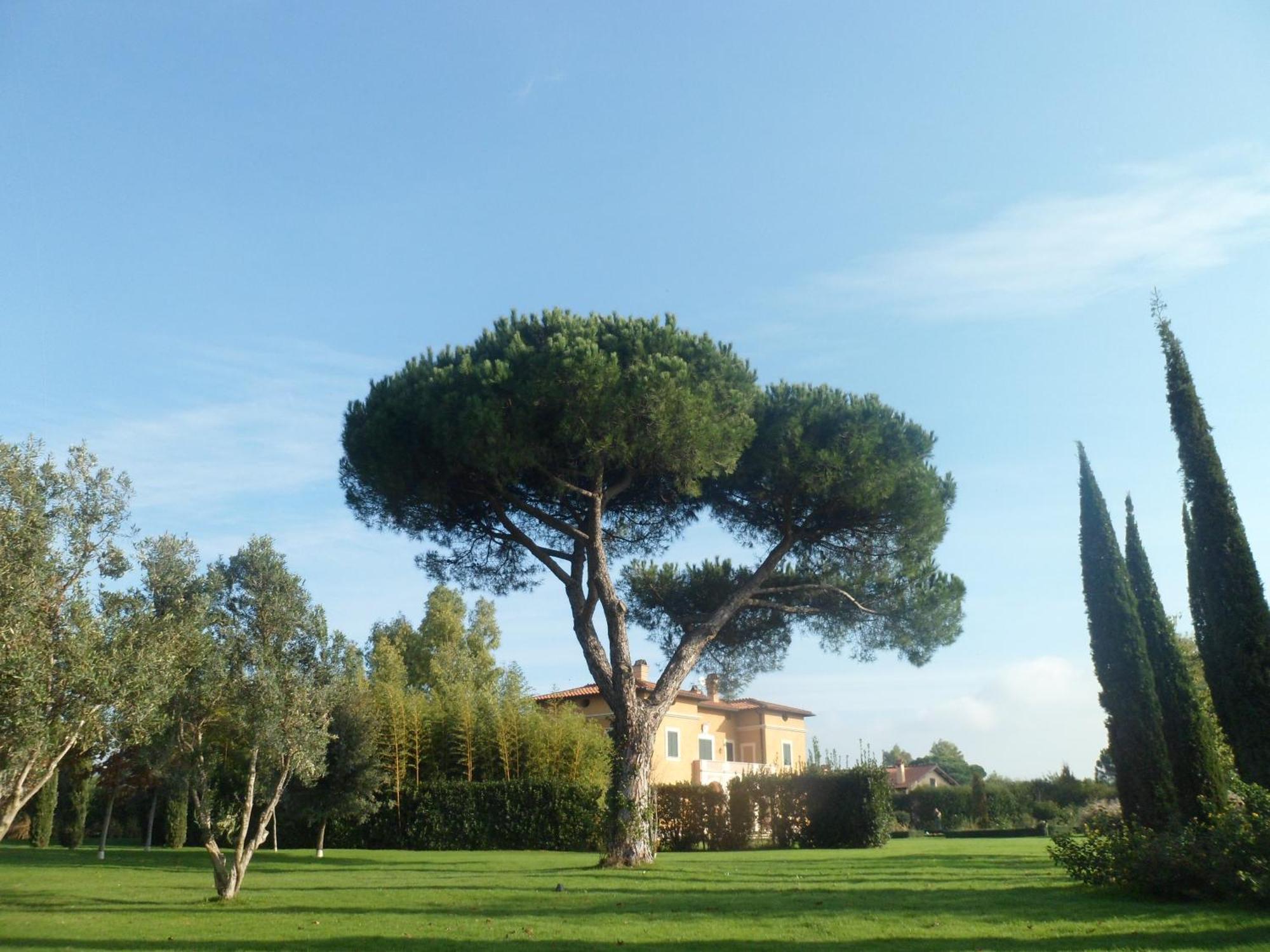 Casale Di Tormaggiore Villa And Country Suites Pomezia Ngoại thất bức ảnh