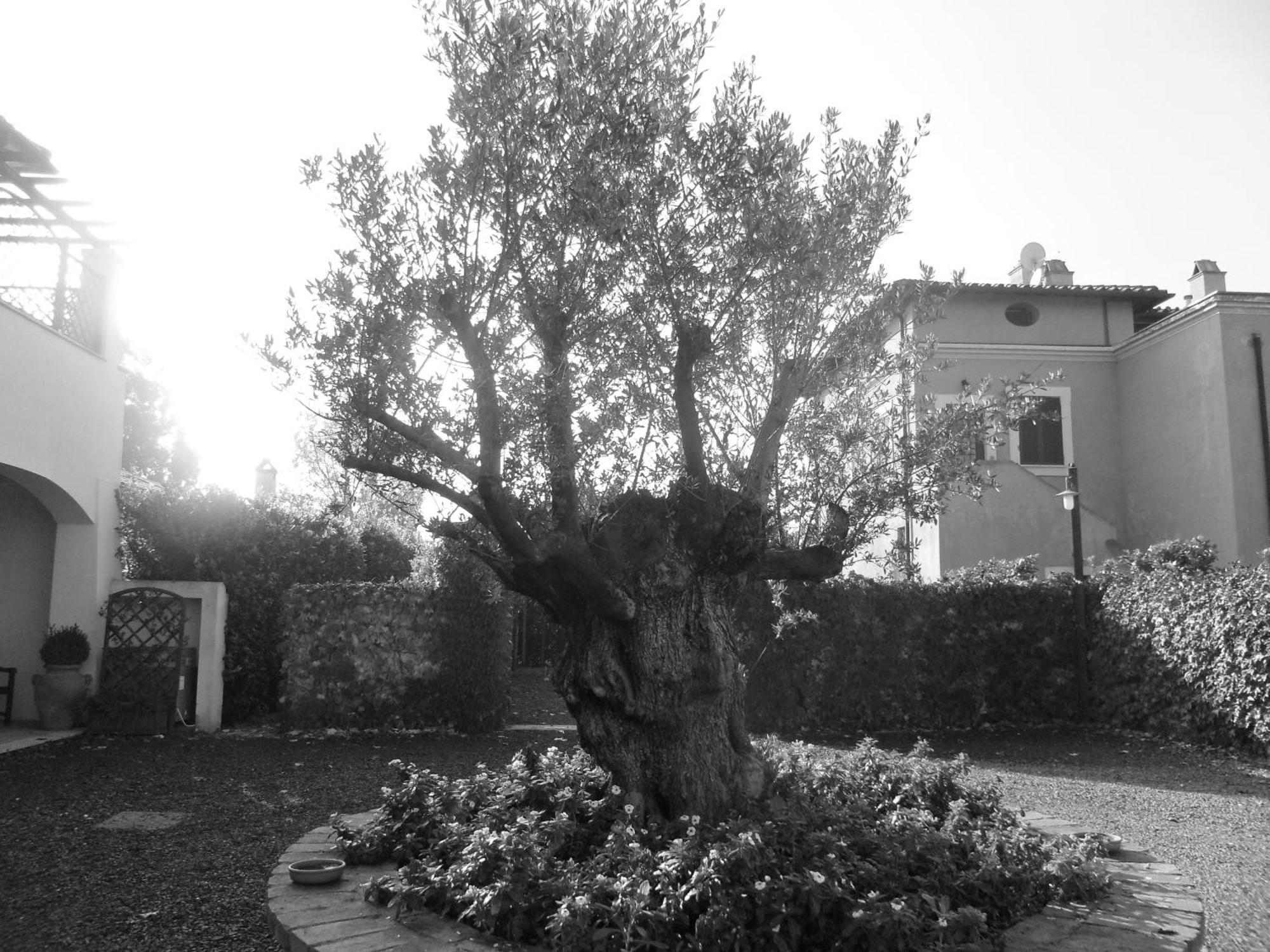 Casale Di Tormaggiore Villa And Country Suites Pomezia Ngoại thất bức ảnh